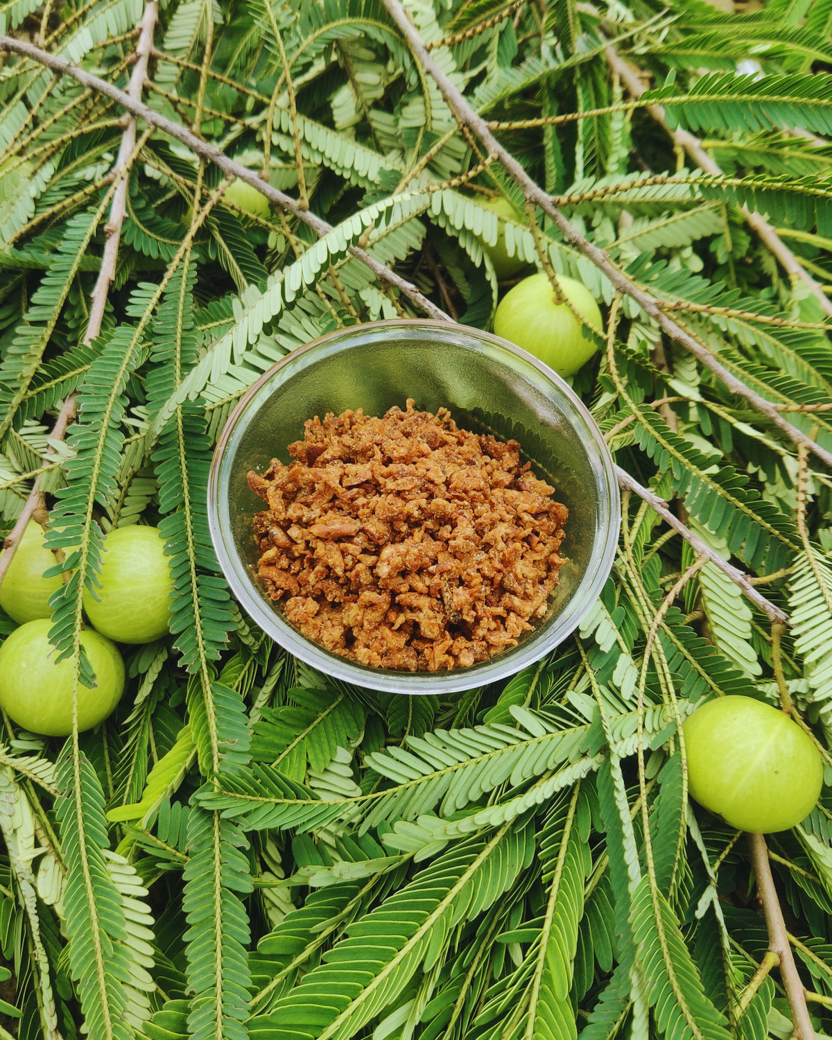 Amla candy (Kesar)