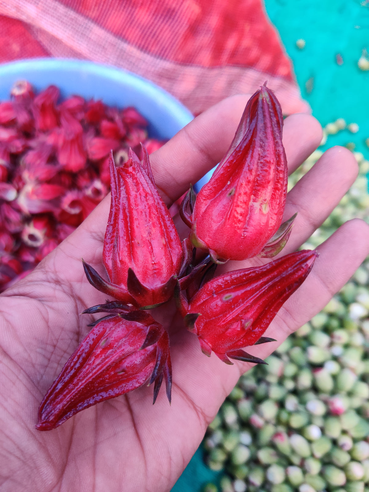 Hibiscus Energy Drink