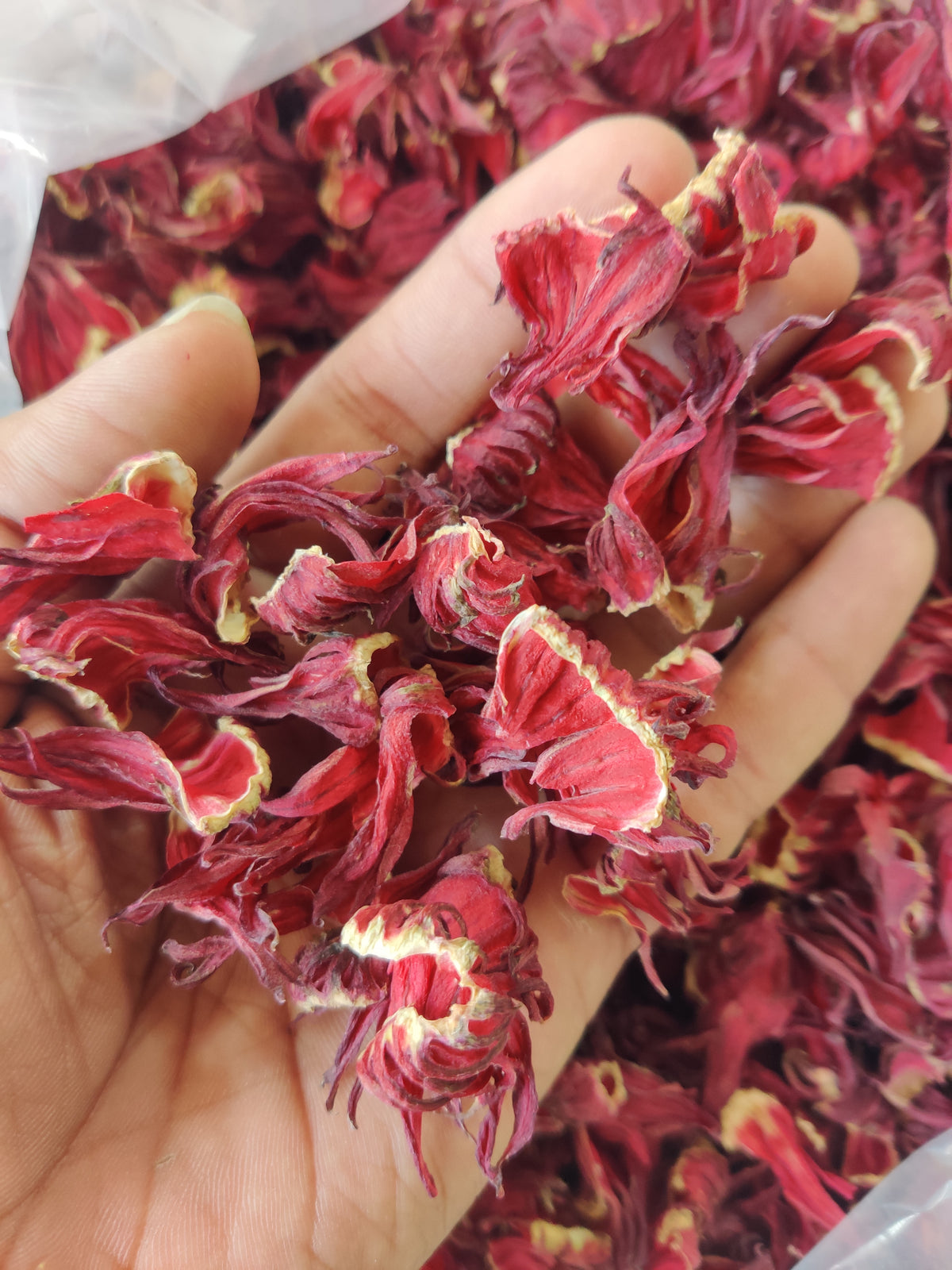Hibiscus Sabdariffa/Roselle Powder