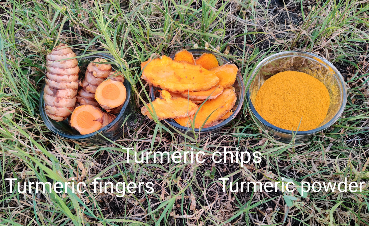 Turmeric